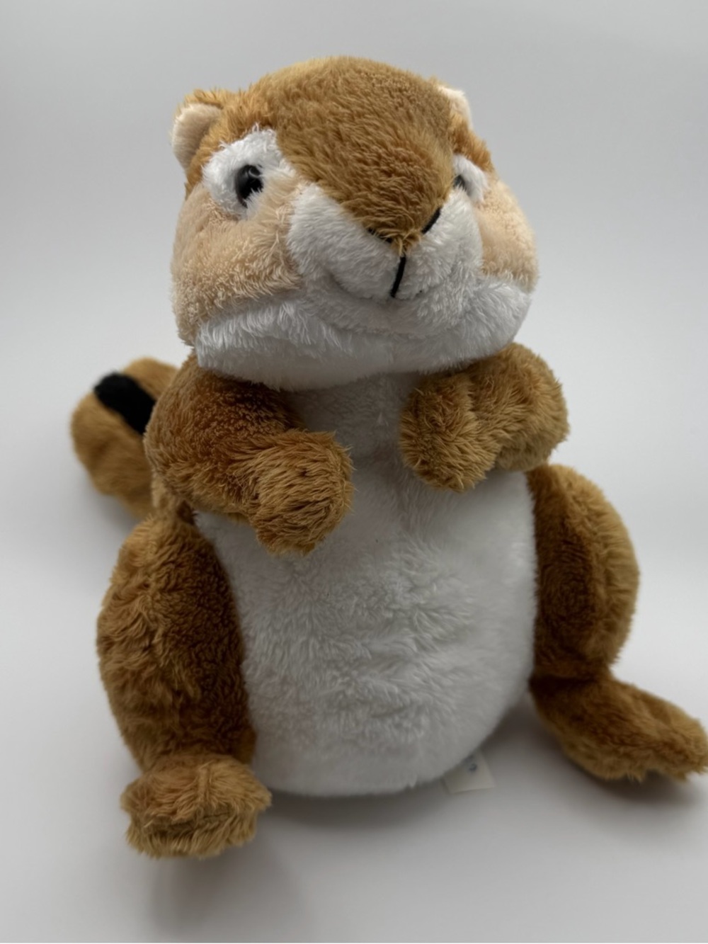 Webkinz Retired Chipmunk HM271 Plush Stuffed Animal Ganz No Code Brown Stripe